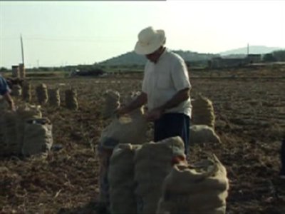 PATATAS (3)  CAMPO APEROS